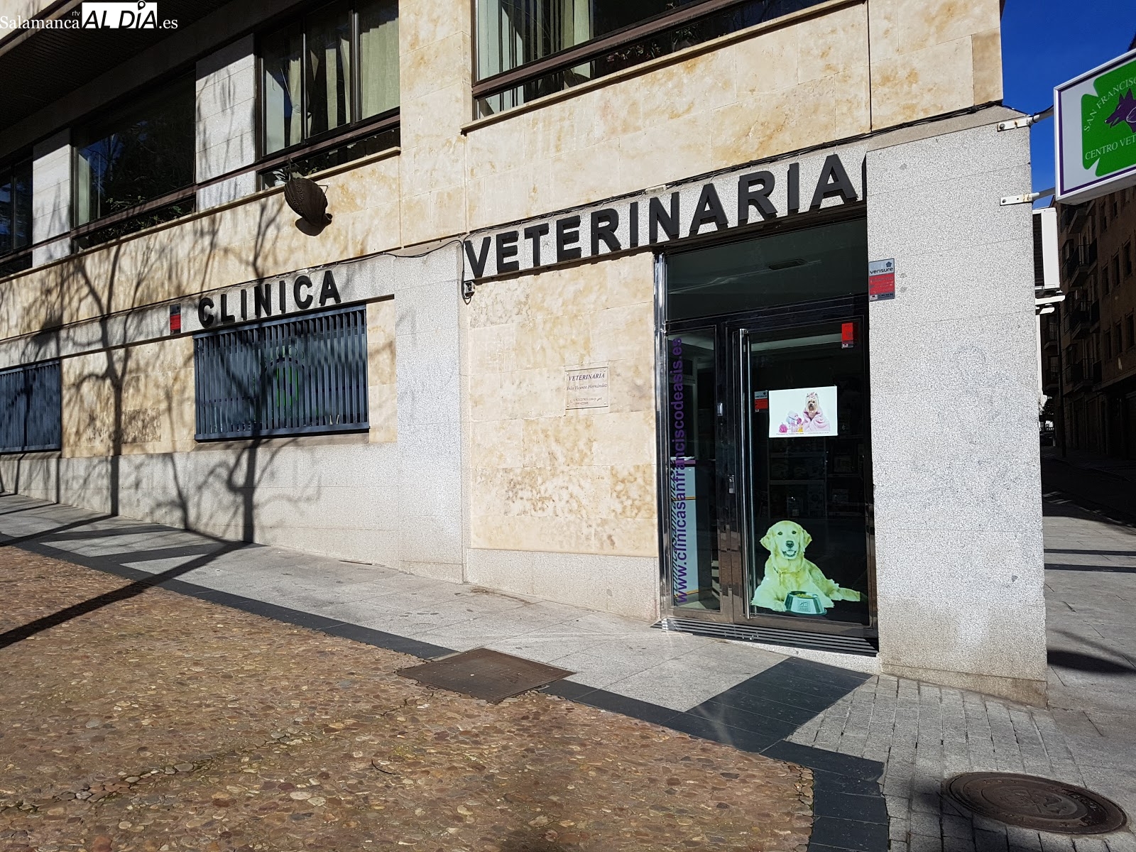 Los centros veterinarios de Salamanca se suman al cierre nacional como medida de protesta ante la nueva ley