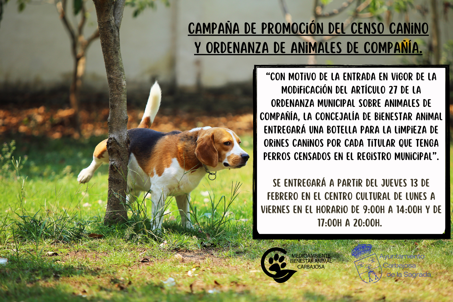 Carbajosa impulsa la responsabilidad canina con una nueva campaña de conciención