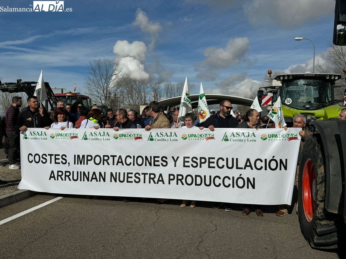 FOTOS y VÍDEO | ¡Basta ya de especular con nuestro pan!, agricultores de CyL protestan en Salamanca por elevados costes e importaciones masivas de cereal