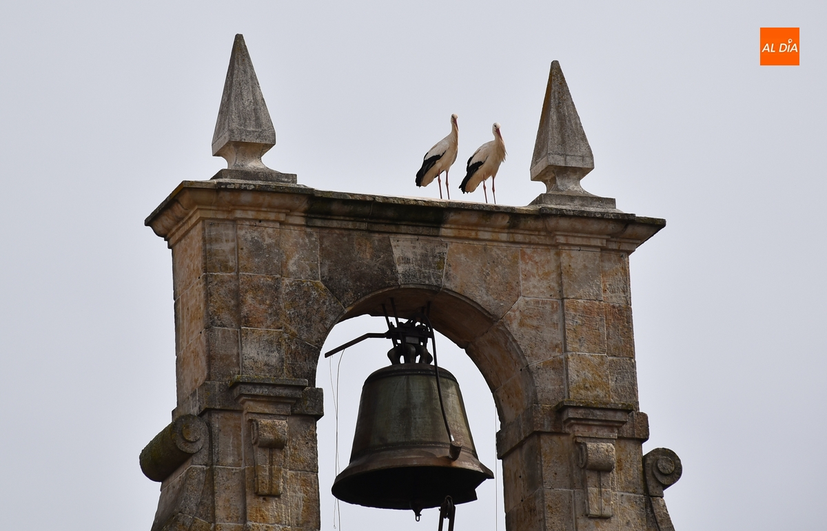1Foto: Cogiendo sitio en la Plaza
