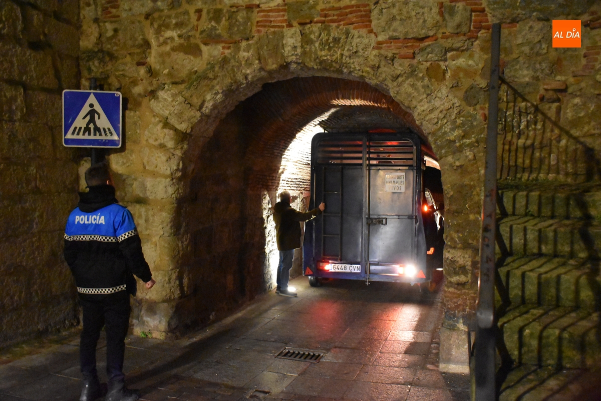El caballo del pregón se salva por los pelos de quedar encajado en la bóveda de la Puerta del Sol