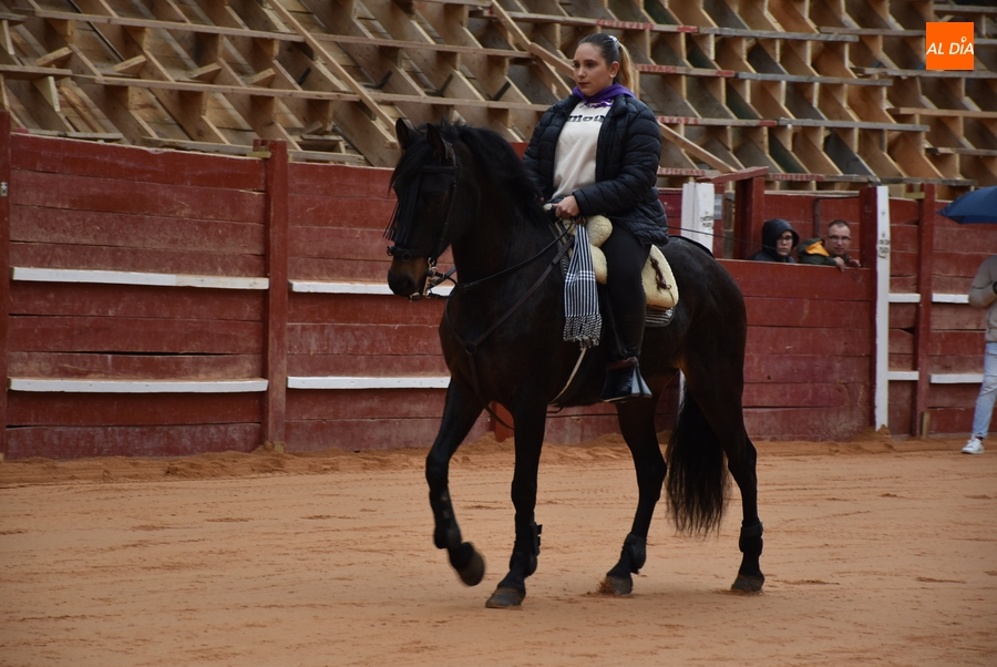 Los Amigos del Alguacilillo no podrán contar con la yegua Morenita en la Prueba del Caballo
