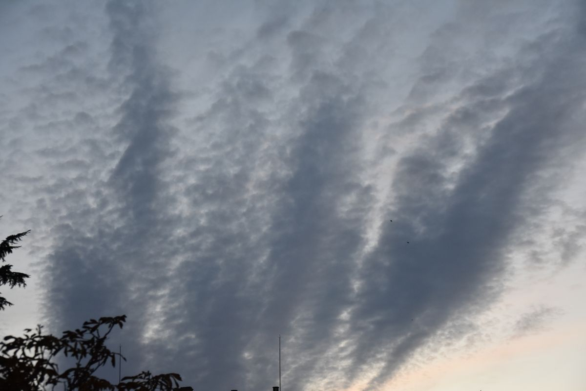 La letra del presidente