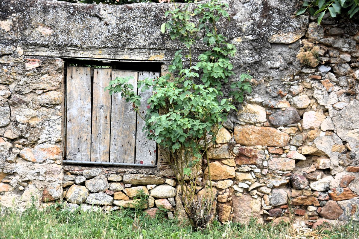 Al otro lado de la cristalera
