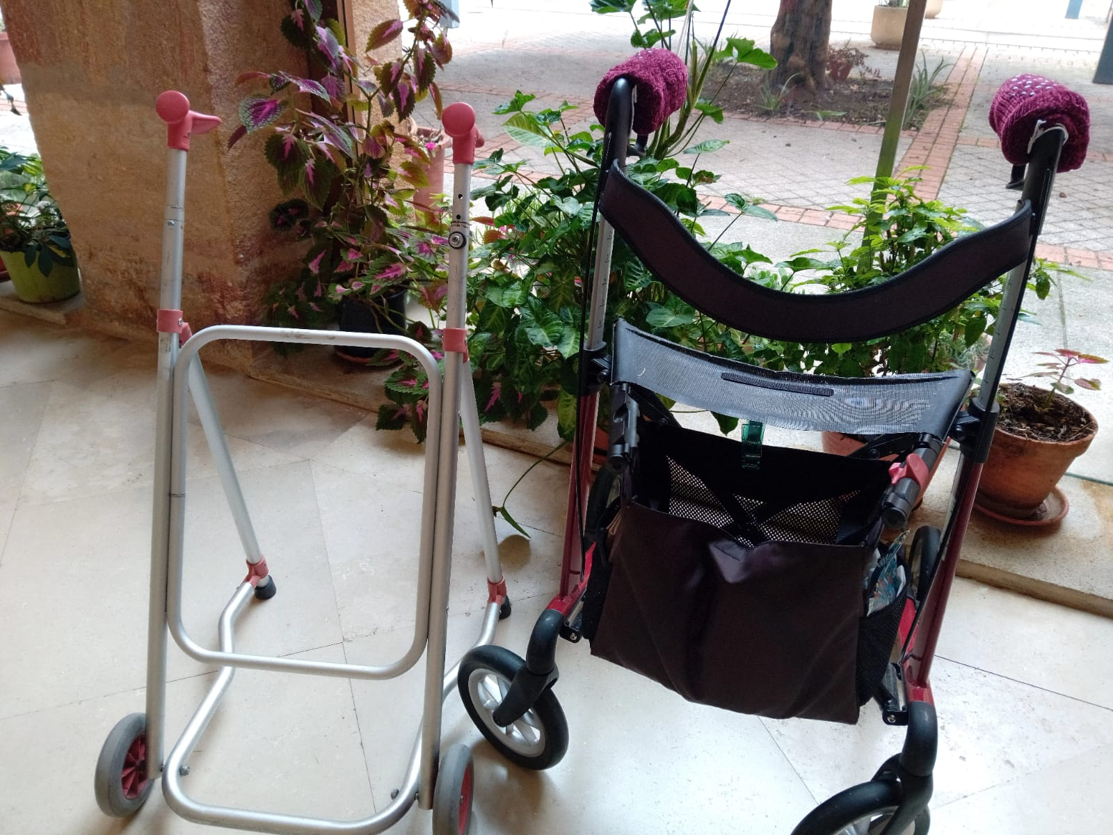 El tesoro de nuestros mayores