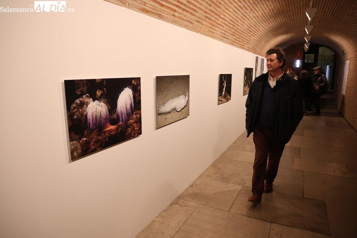 FOTOS | La exposición que quiere reforzar la cultura territorial inaugurada en Salamanca