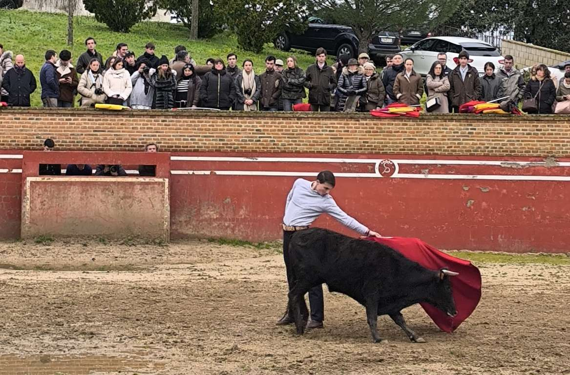 El Bolsín completa su 1ª ronda con otra exitosa tienta con vacas de El Capea bravas y nobles