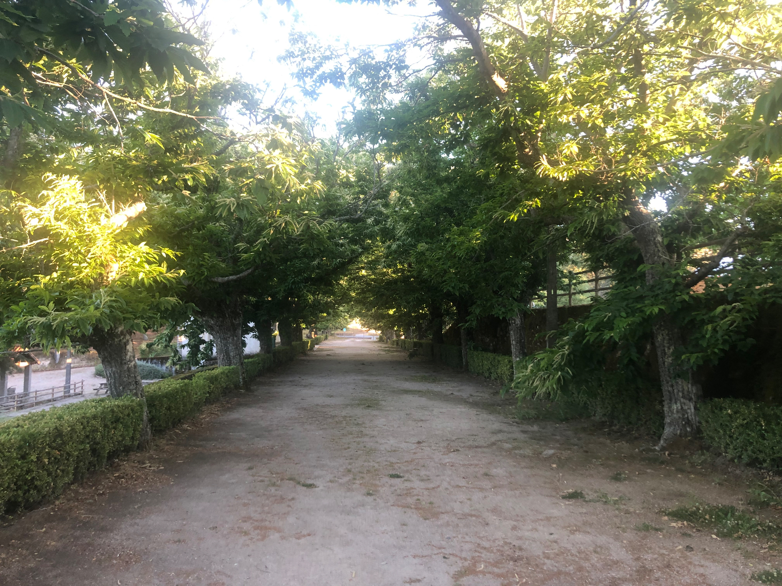 O que faz andar a estrada?