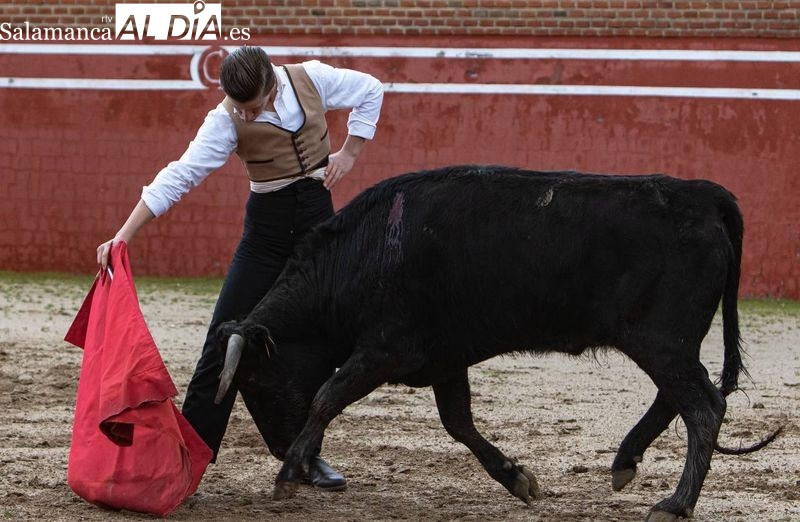 Antonio García y Nico Pérez debutan en el Bolsín Taurino de Ciudad Rodrigo