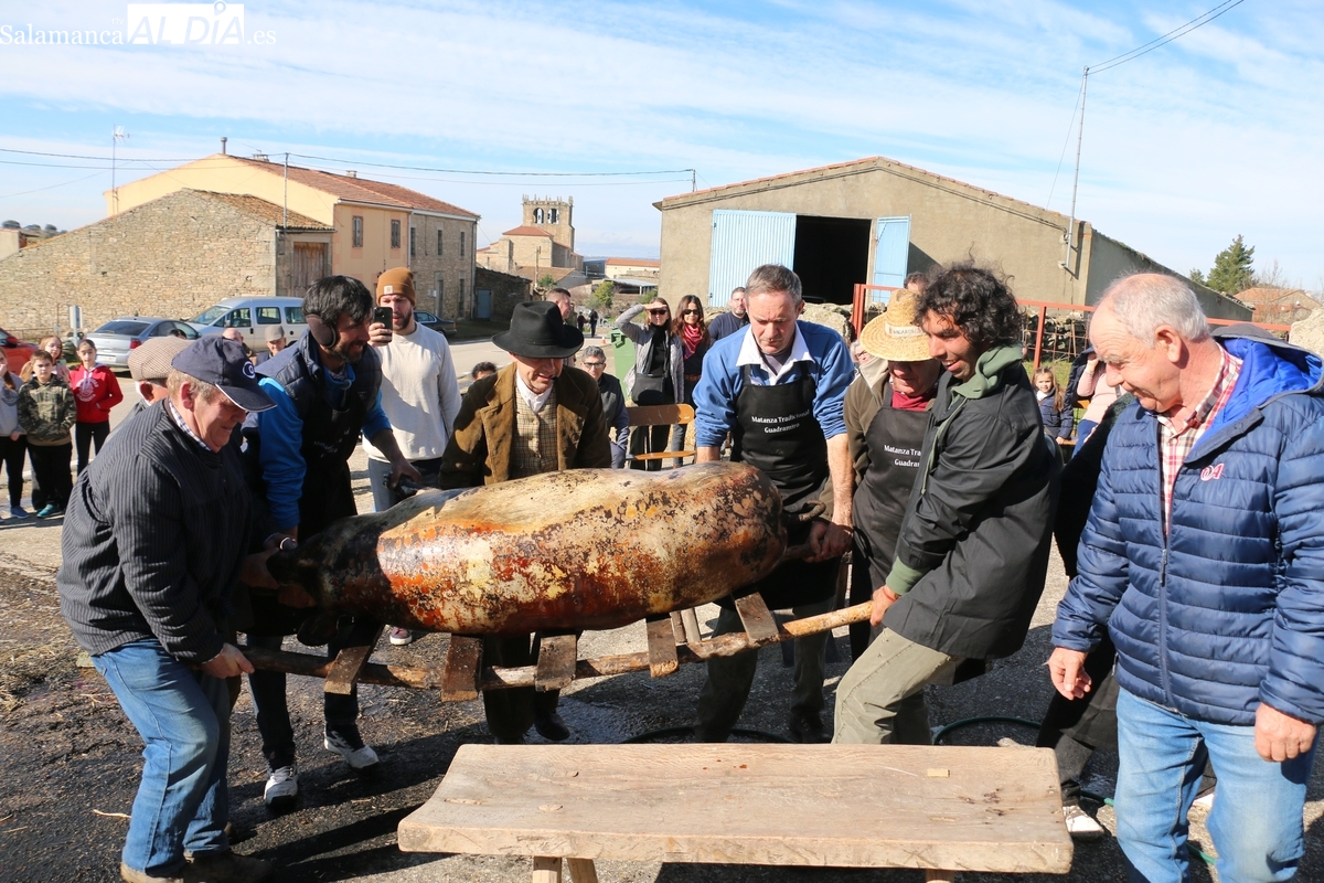 Guadramiro vive con gran entusiasmo su segunda Fiesta de la Matanza Tradicional