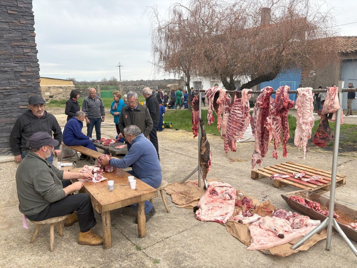 Valderrodrigo celebra su I Matanza Tradicional con homenaje a quienes legaron sus conocimientos matanceros  