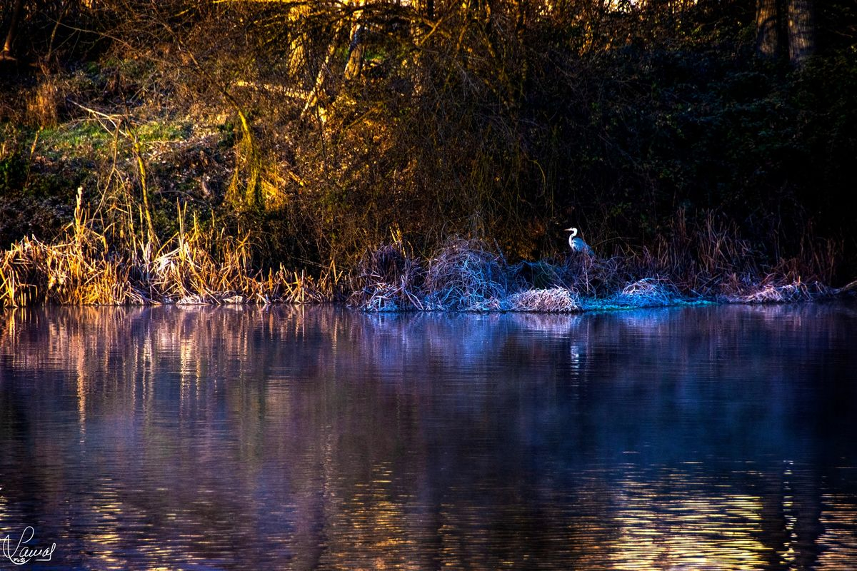 La alegría del nuevo día