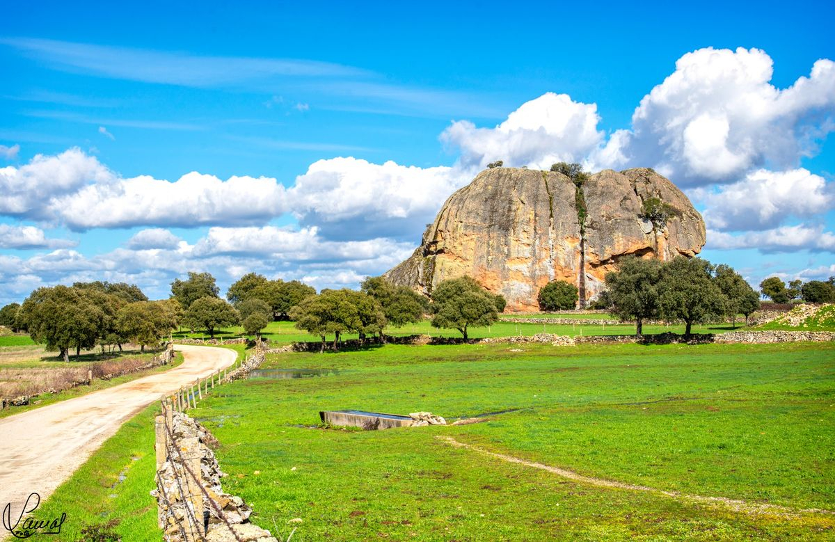 ¿Cuál es tu horizonte?