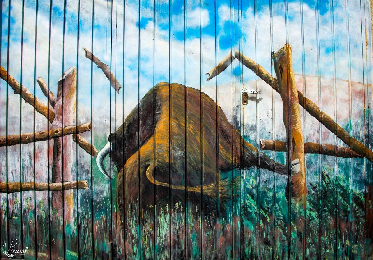 El secreto de la fuerza