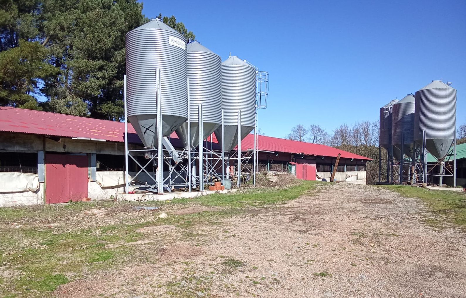 Negocio avícola llave en mano en la provincia: incluye vivienda y gran extensión de terreno