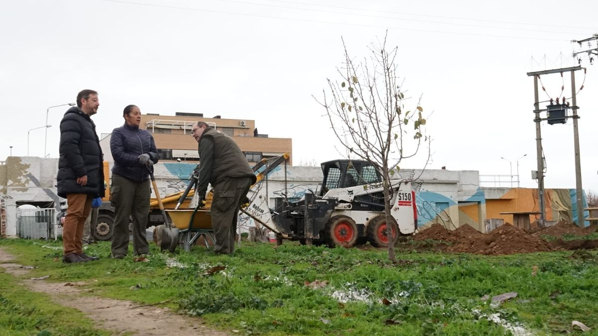 Santa Marta formará a 15 desempleados en jardinería gracias al nuevo curso FOD