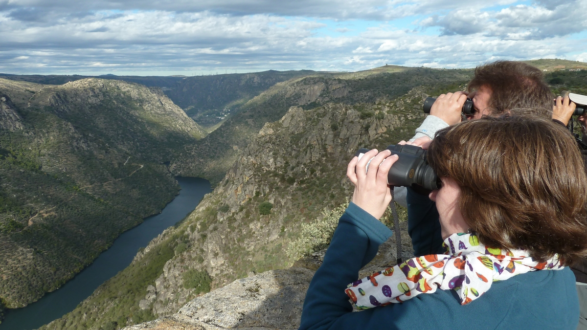 La provincia se posiciona como destino para la observación de aves en la XX Feria Internacional de Turismo Ornitológico 