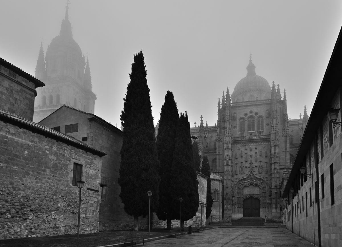 El misterio de la belleza 