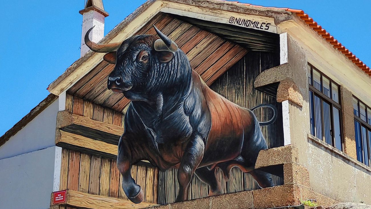 El mejor mural del mundo está en la Raya