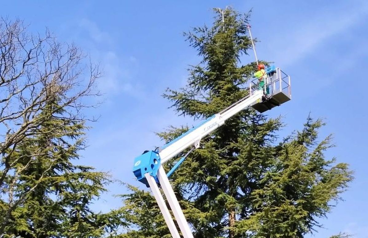 Así se tratan las zonas verdes de Salamanca para prevenir la plaga de procesionaria