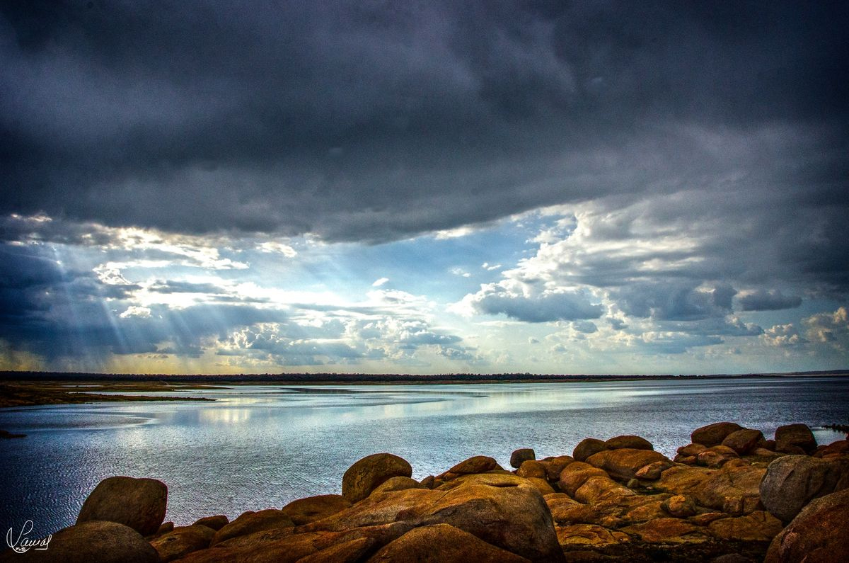 La vida eterna en este mundo 