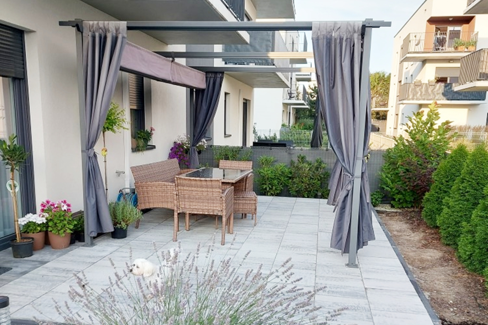 Toldos, parasoles, pérgolas, ¿cuál elegir para protegerte del sol en tu jardín?