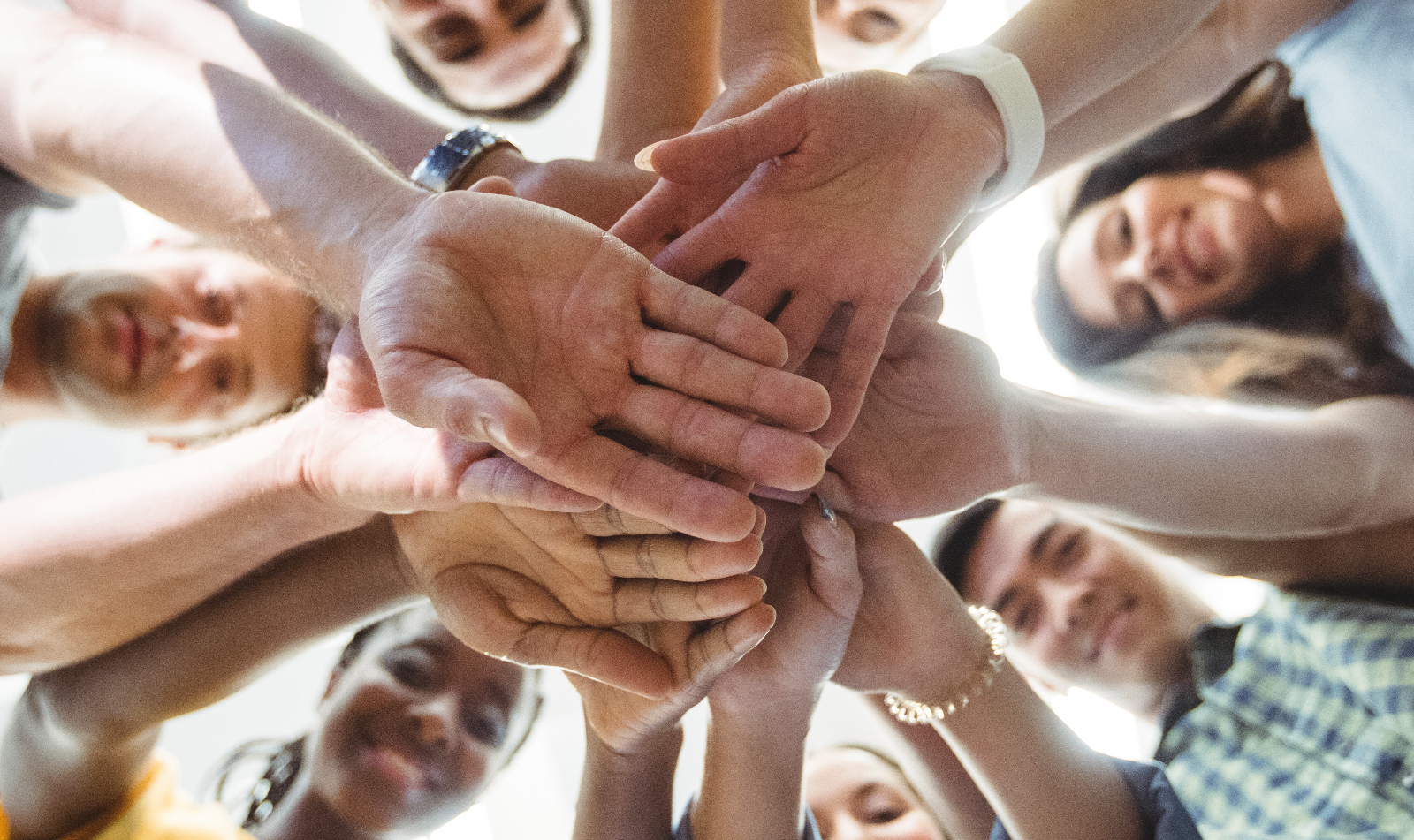 Radiografía de las ONG en Salamanca: ¿Cuántas hay y cómo ayudar?