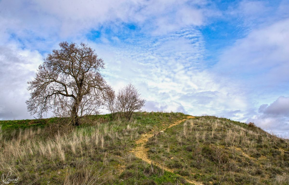 Los viajes de la vida