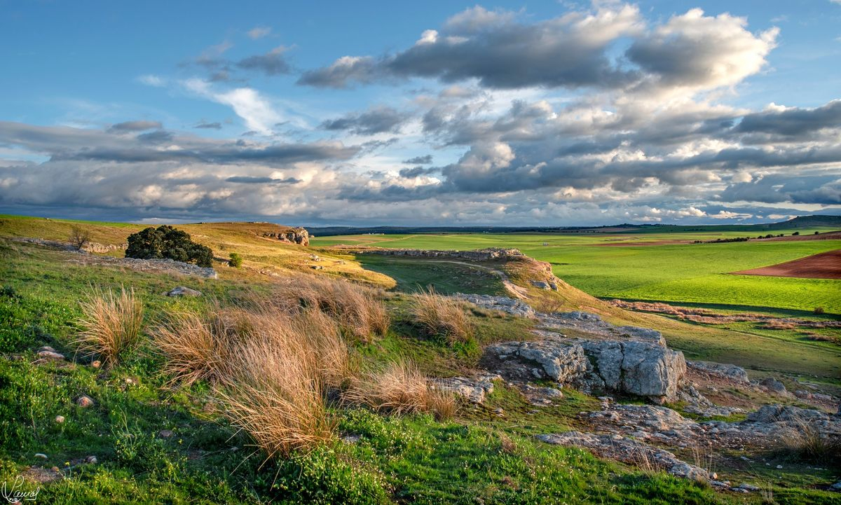 La mejor inversión de la humanidad 