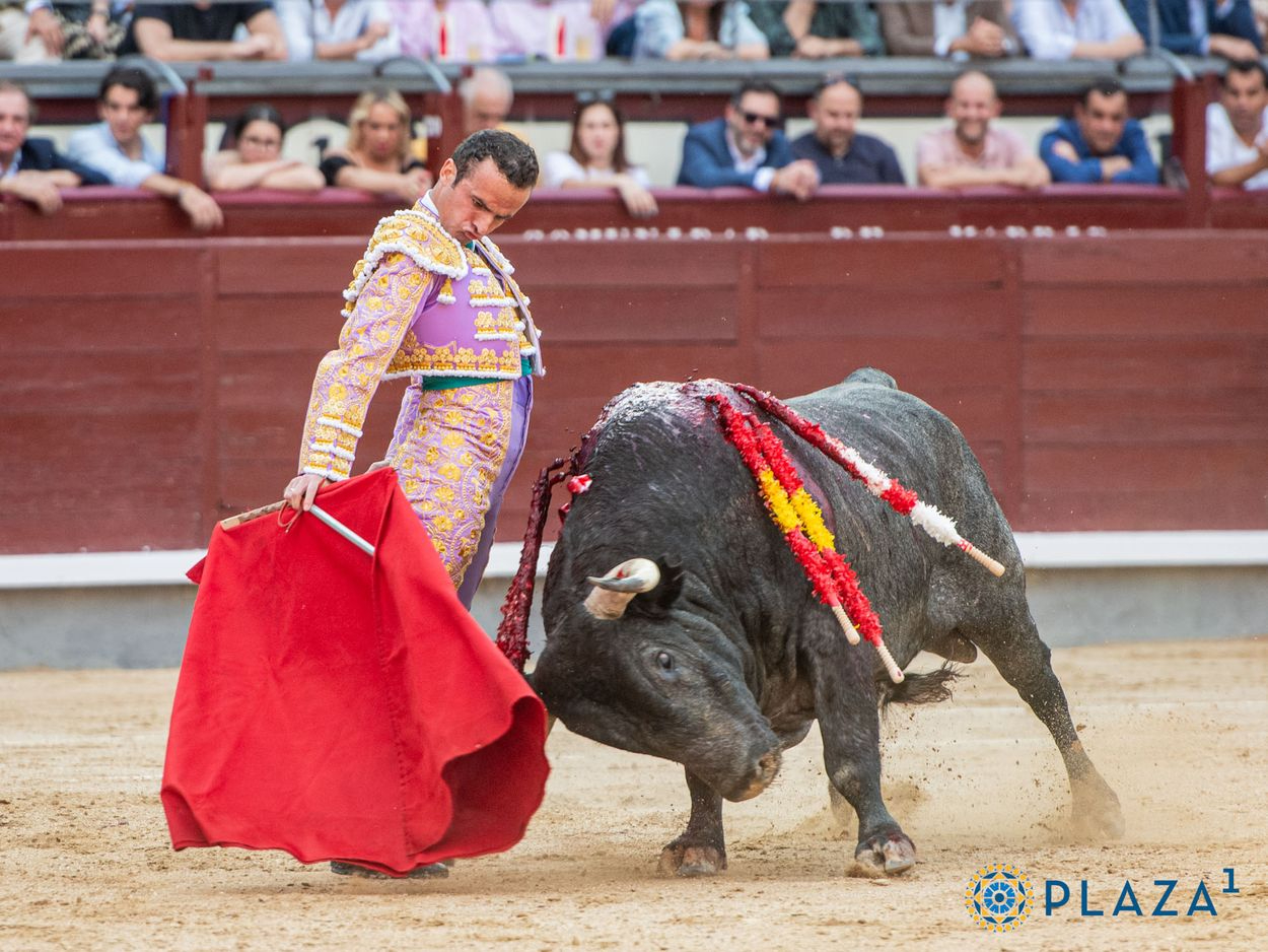 Acompaña a Damián Castaño en su tarde frente a los de Adolfo Martín en Las Ventas