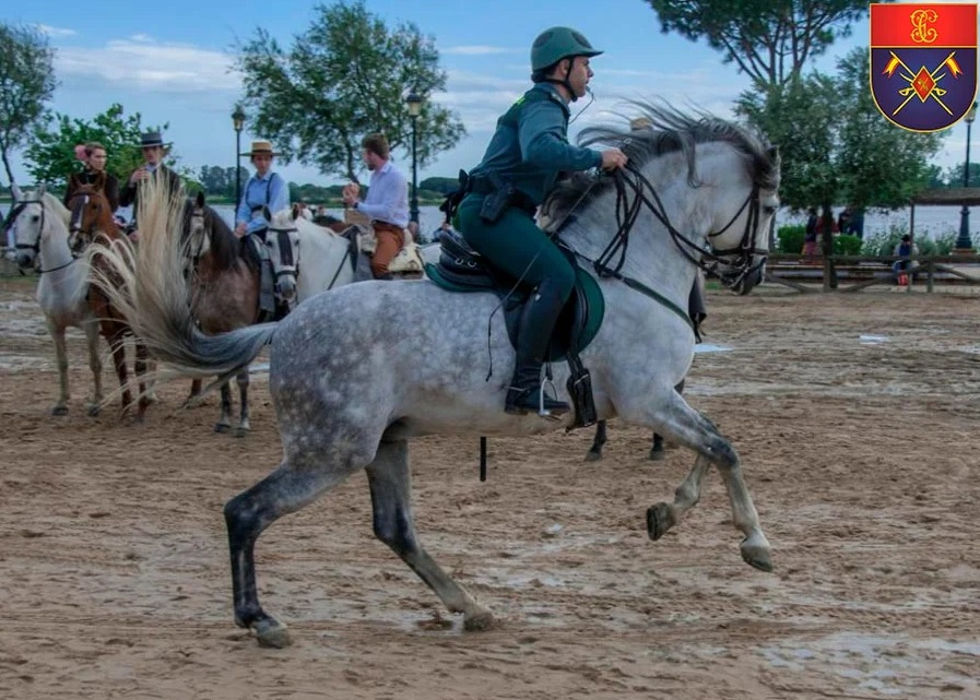 Así es el Escuadrón de Caballería que velará por la seguridad en el Carnaval del Toro (FOTOS)