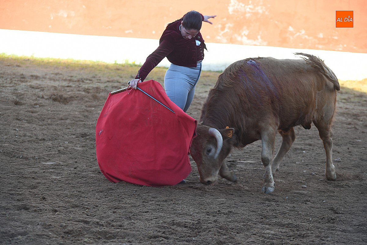 Campeón, de Toros de Orive, elegido novillo más bravo de la final del Bolsín
