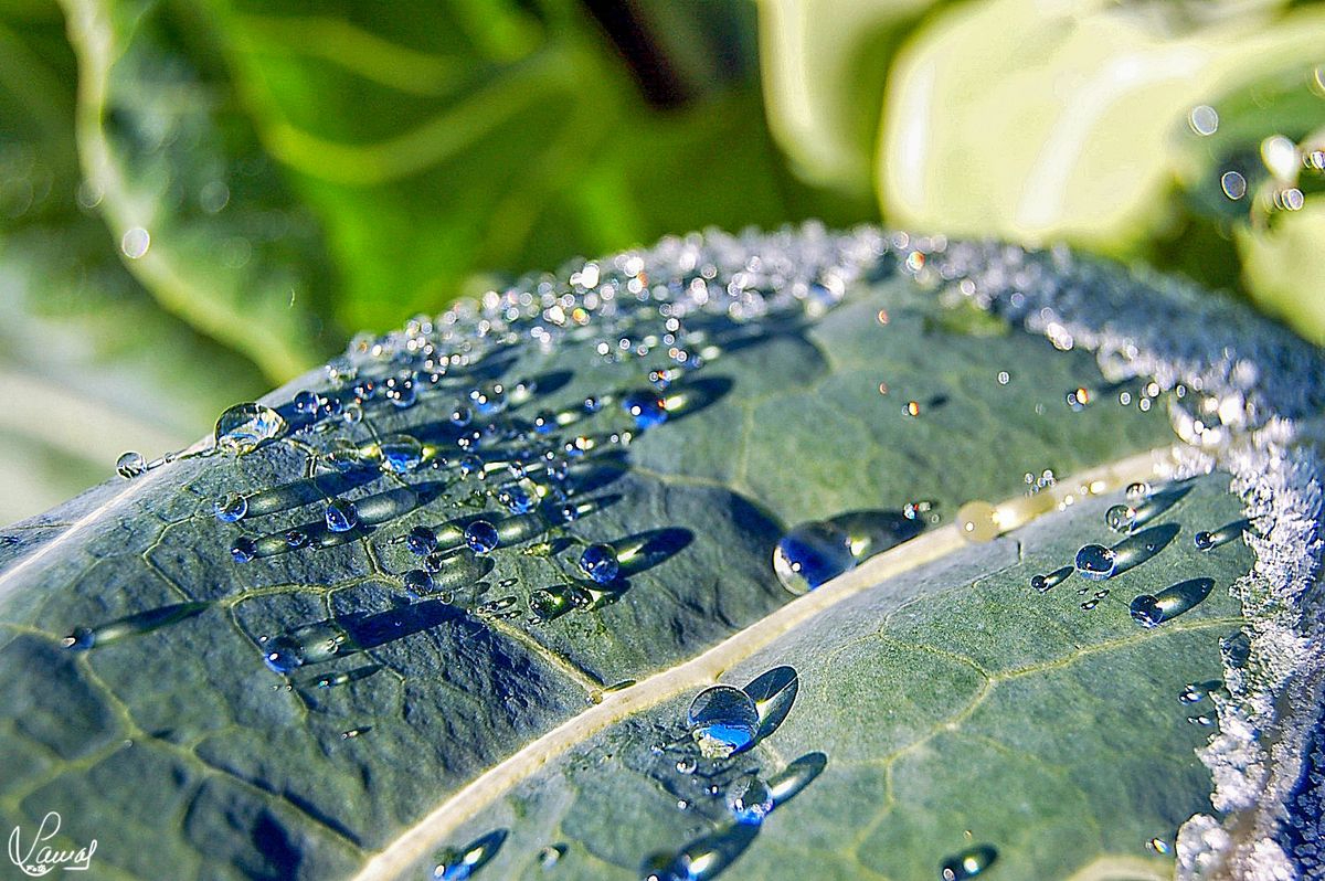 Un poema vivo de esperanza