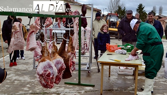 Todo a punto y venta anticipada de tickets en recta final para la 8ª Matanza Tradicional de Macotera