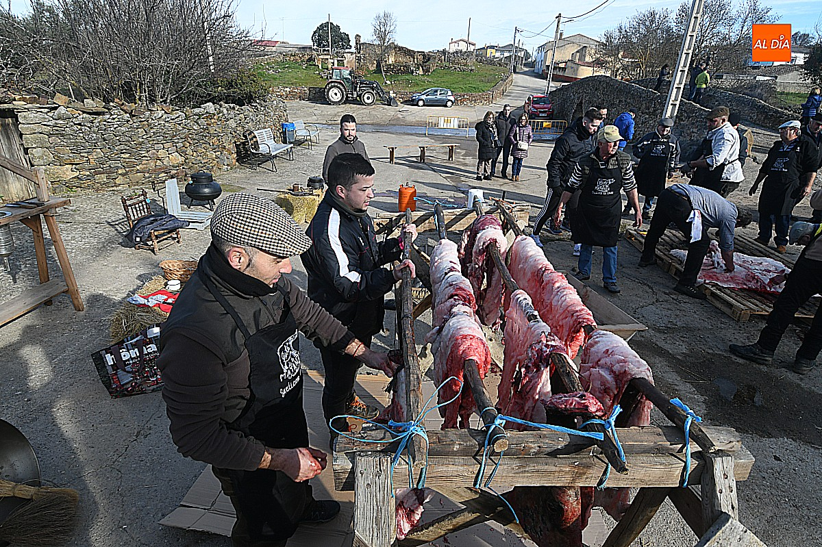 Día de matanza típica en Saelices El Chico donde el buen tiempo acompañó la tradición y el folclore 