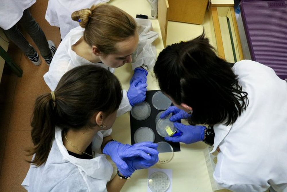 Vuelve ‘Micromundo’: el innovador proyecto que busca concienciar sobre la alarmante resistencia a los antibióticos