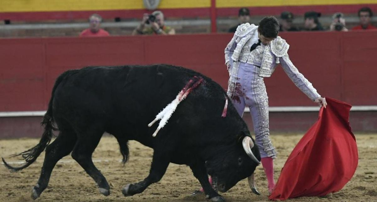 Gran corrida de Capea en Valdemorillo con un toro premiado con la vuelta al ruedo