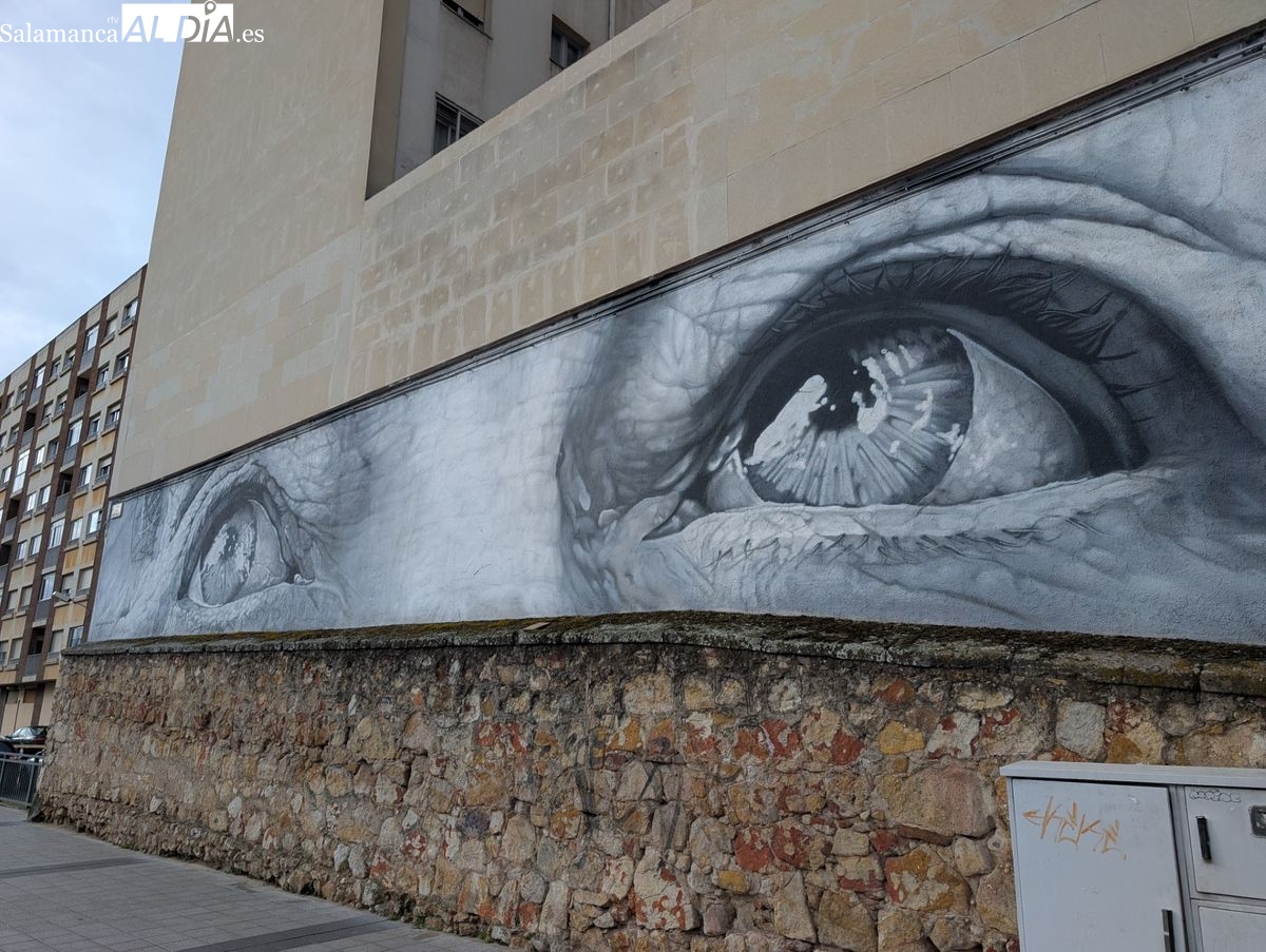 Arte urbano: los murales que transforman Salamanca (FOTOS)