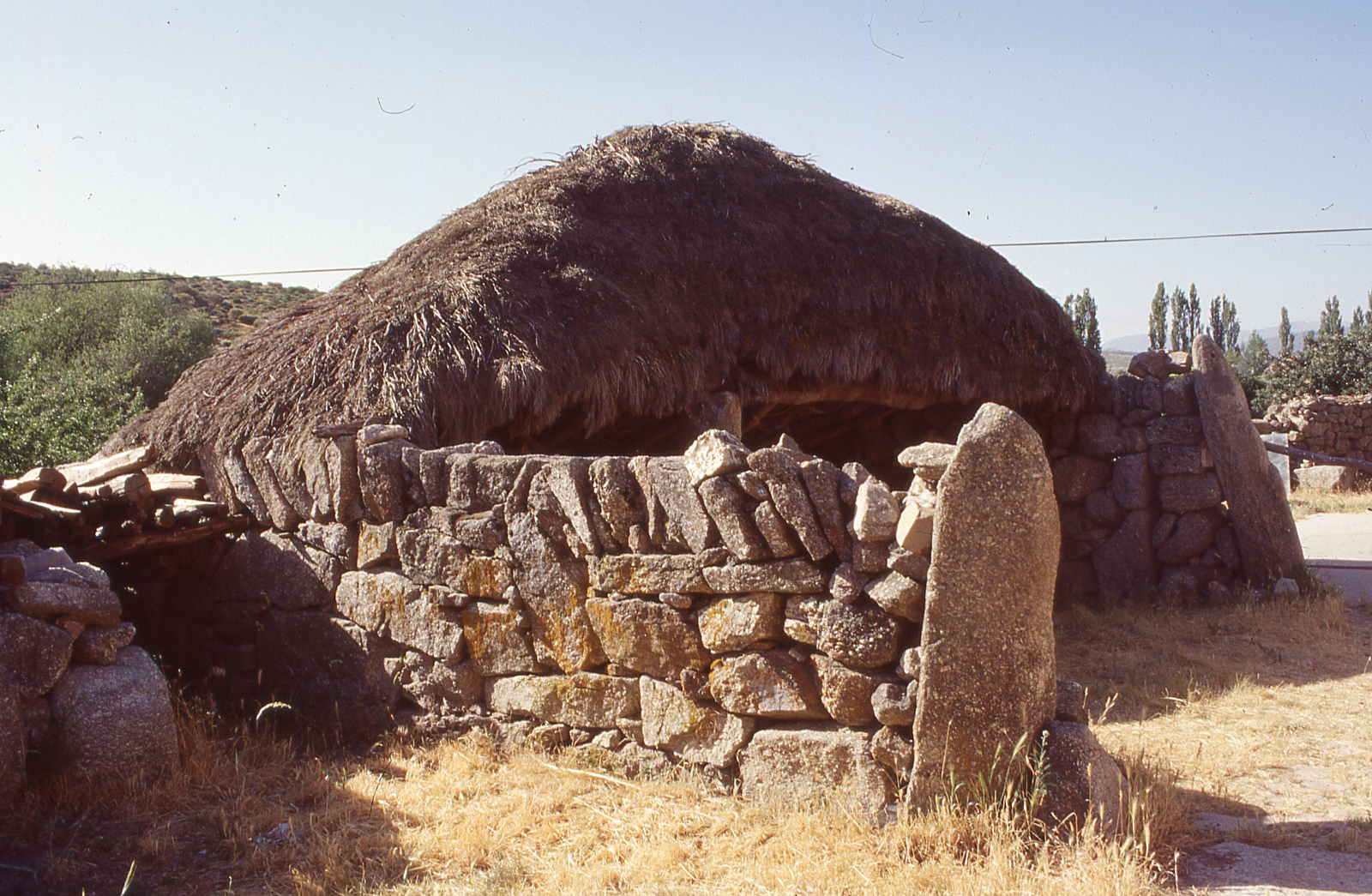 Cultura del desarrollo