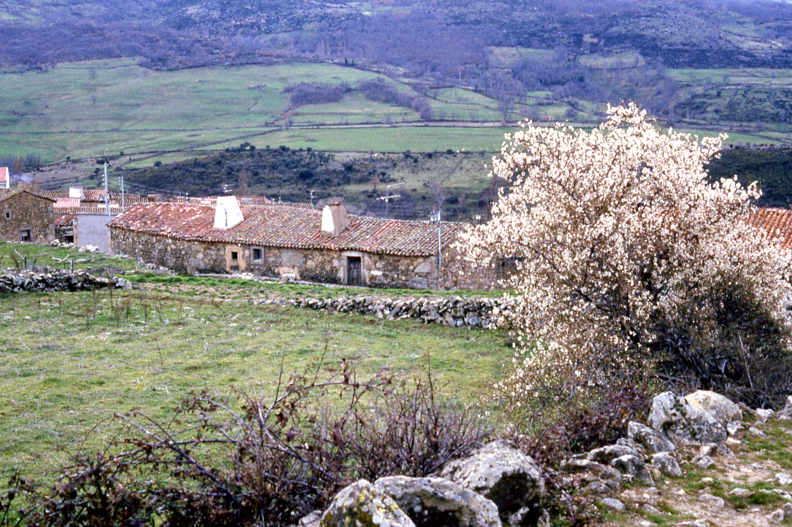 Espacios rurales 