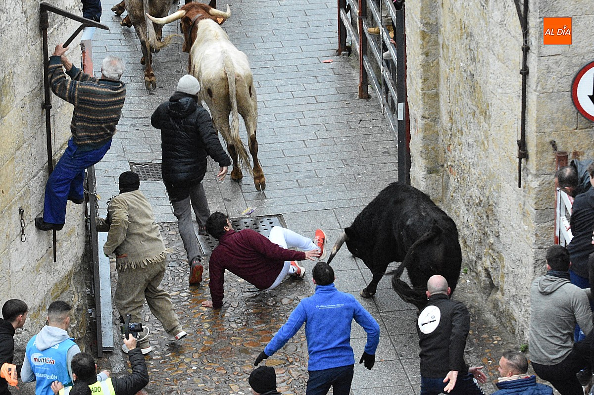 Los astados de Guadajira completan en la capea y el desencierro su óptimo rendimiento matinal