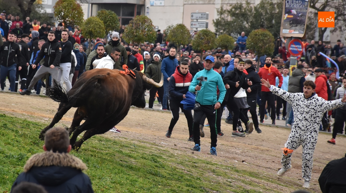 El Toro del Antruejo deja el primer herido del Carnaval en medio de un espectacular gentío