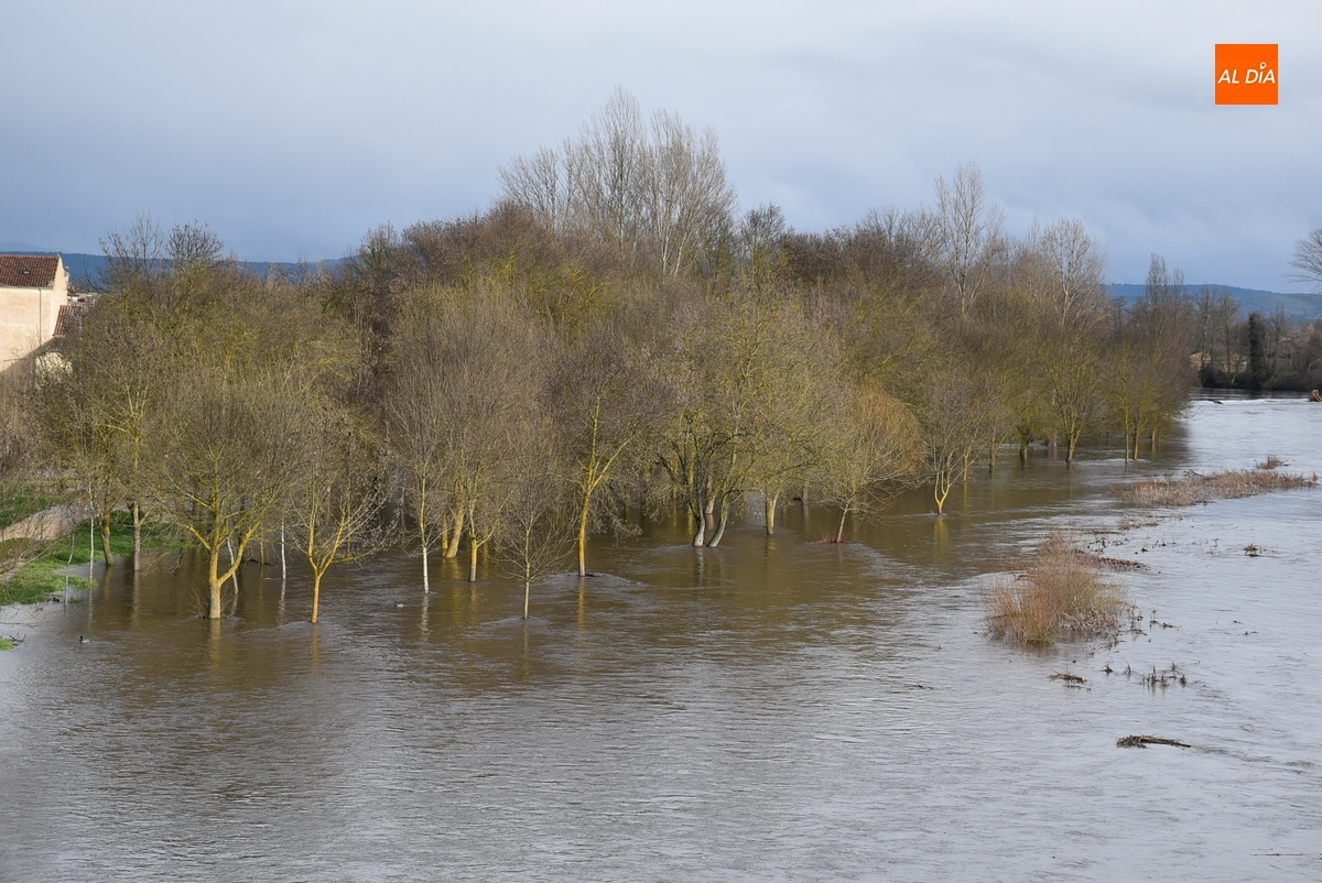 El Águeda se dispara por encima de los 100 m3/s de caudal a su paso por Ciudad Rodrigo