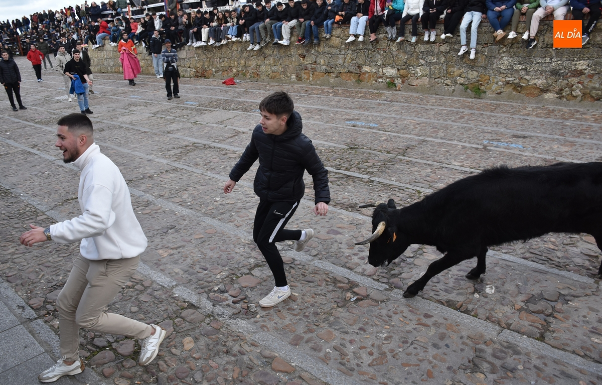 La capea de vaquillas remata, también con gotas de lluvia, el apartado taurino del Carnaval 2025