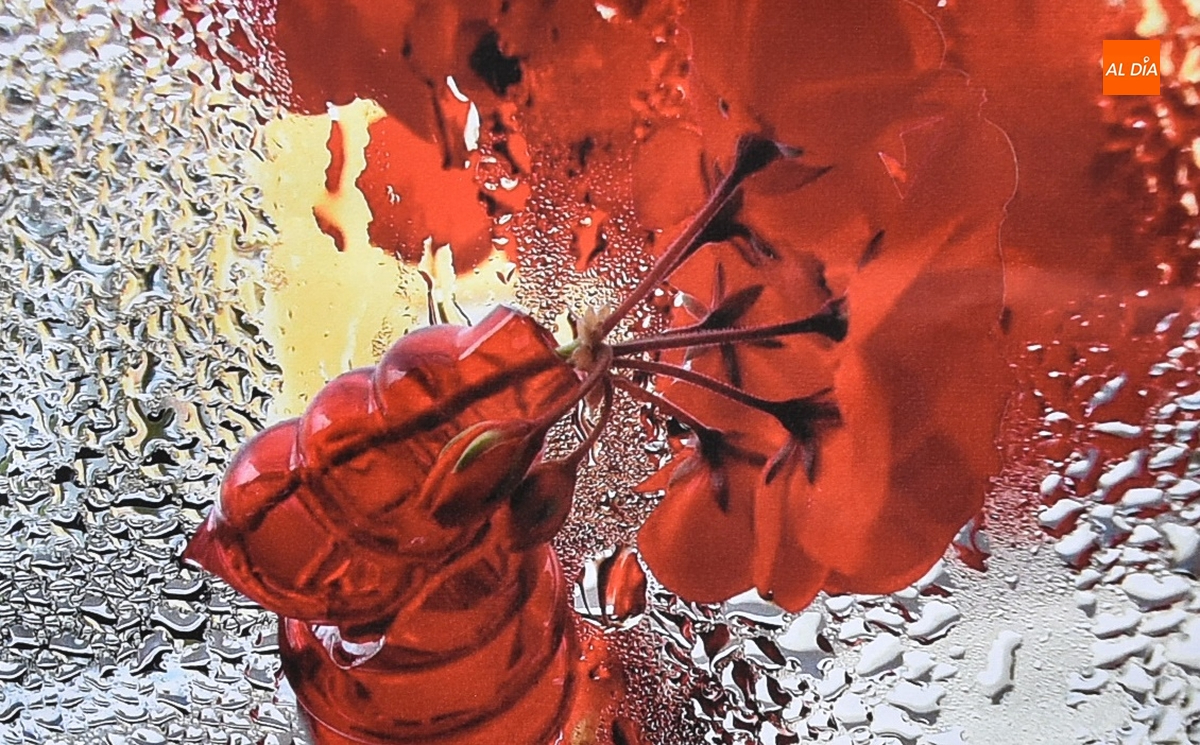 Ciudad Rodrigo tendrá dentro del proyecto Raíces de Cepaim varias actividades al hilo del 8M