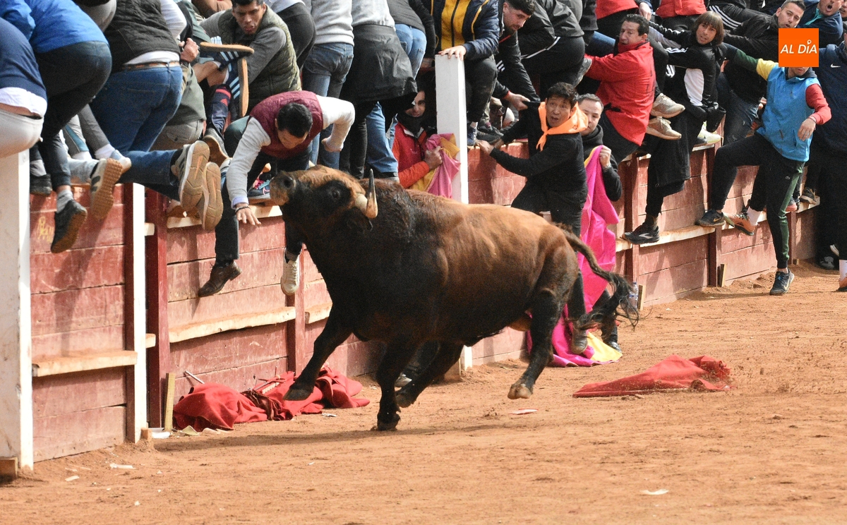 Dramática capea matinal con tres corneados en apenas 30 minutos