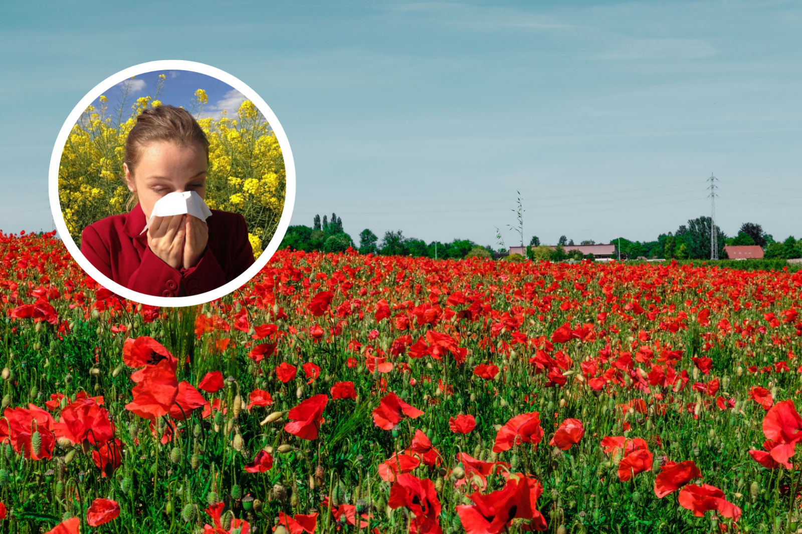 Así será la primavera en Salamanca: polen durante más tiempo y con síntomas más persistentes