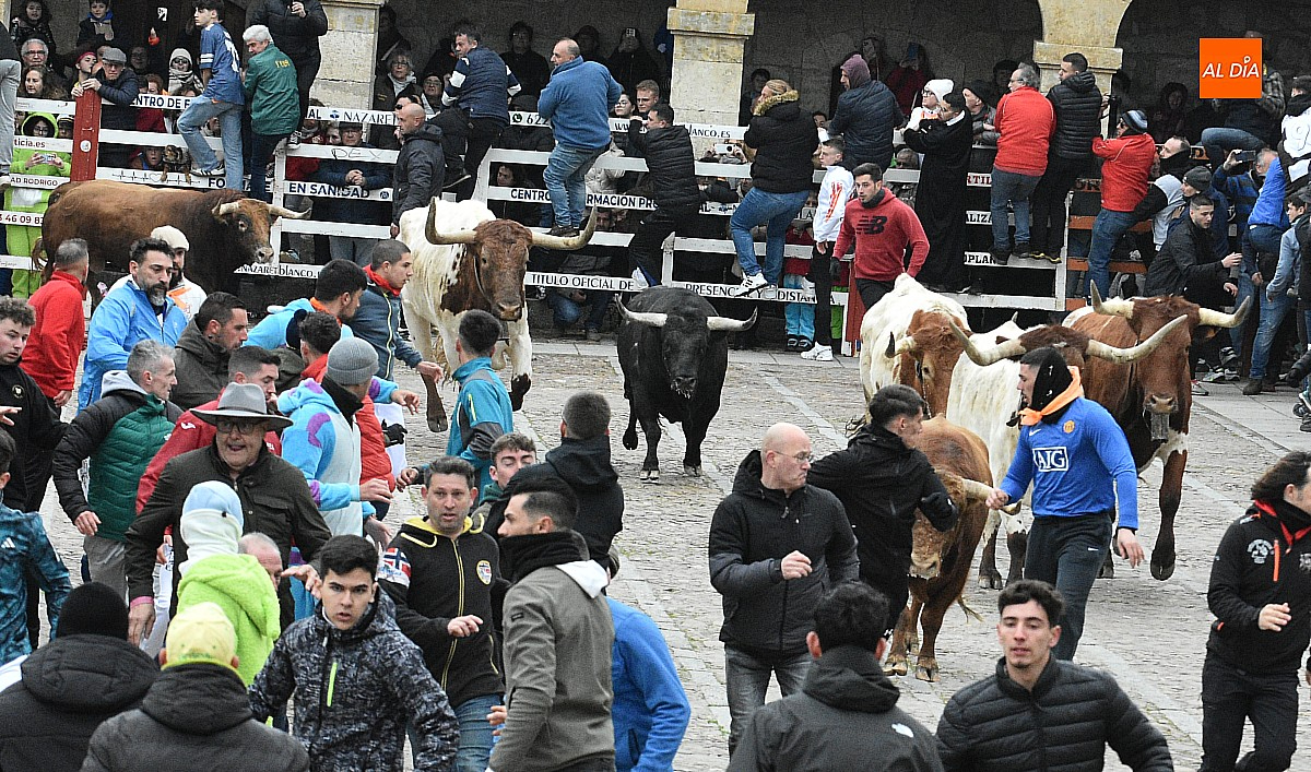 Rápido y limpio primer encierro del Carnaval con dos cabestros juguetones