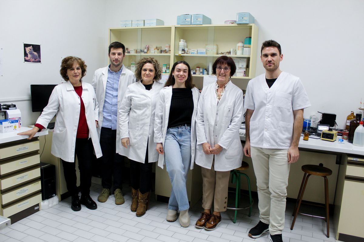 USAL e IBSAL abren vías terapéuticas para mejorar el tratamiento de la enfermedad cardiovascular en mujeres