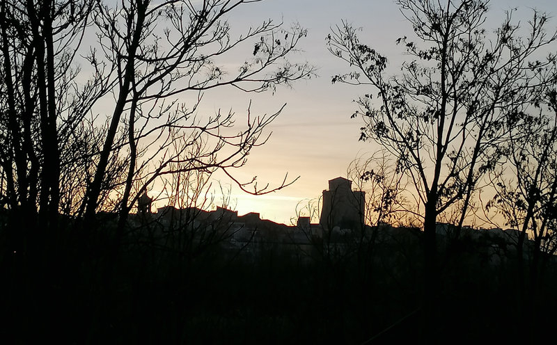 Hora del Planeta: Alba de Tormes invita a sus vecinos a proteger la biodiversidad